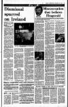 Sunday Independent (Dublin) Sunday 23 December 1990 Page 44