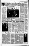Sunday Independent (Dublin) Sunday 06 January 1991 Page 13