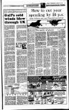Sunday Independent (Dublin) Sunday 06 January 1991 Page 15