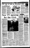 Sunday Independent (Dublin) Sunday 20 January 1991 Page 35