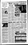 Sunday Independent (Dublin) Sunday 27 January 1991 Page 9