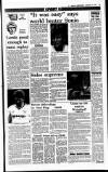 Sunday Independent (Dublin) Sunday 27 January 1991 Page 35