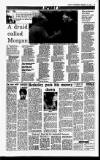 Sunday Independent (Dublin) Sunday 17 February 1991 Page 32