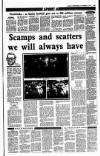 Sunday Independent (Dublin) Sunday 03 November 1991 Page 37