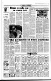 Sunday Independent (Dublin) Sunday 09 February 1992 Page 36
