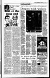 Sunday Independent (Dublin) Sunday 16 February 1992 Page 31