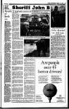 Sunday Independent (Dublin) Sunday 22 March 1992 Page 19