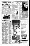 Sunday Independent (Dublin) Sunday 12 April 1992 Page 17