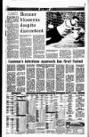 Sunday Independent (Dublin) Sunday 03 January 1993 Page 39
