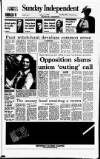 Sunday Independent (Dublin) Sunday 17 January 1993 Page 1