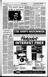 Sunday Independent (Dublin) Sunday 17 January 1993 Page 17