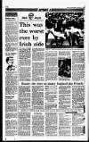 Sunday Independent (Dublin) Sunday 17 January 1993 Page 38
