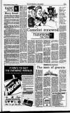 Sunday Independent (Dublin) Sunday 24 January 1993 Page 45