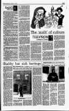 Sunday Independent (Dublin) Sunday 14 February 1993 Page 53