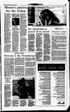 Sunday Independent (Dublin) Sunday 27 June 1993 Page 37