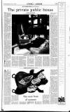 Sunday Independent (Dublin) Sunday 11 July 1993 Page 39