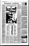 Sunday Independent (Dublin) Sunday 25 July 1993 Page 33