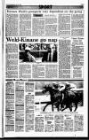 Sunday Independent (Dublin) Sunday 25 July 1993 Page 47