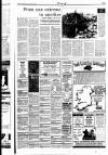 Sunday Independent (Dublin) Sunday 29 August 1993 Page 45