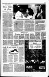 Sunday Independent (Dublin) Sunday 05 September 1993 Page 37