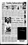 Sunday Independent (Dublin) Sunday 12 September 1993 Page 1