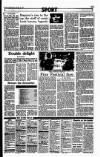 Sunday Independent (Dublin) Sunday 02 January 1994 Page 51