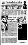 Sunday Independent (Dublin) Sunday 09 January 1994 Page 1