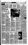 Sunday Independent (Dublin) Sunday 16 January 1994 Page 51