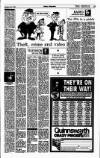 Sunday Independent (Dublin) Sunday 30 January 1994 Page 19