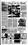 Sunday Independent (Dublin) Sunday 27 February 1994 Page 41