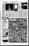 Sunday Independent (Dublin) Sunday 16 April 1995 Page 41