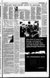 Sunday Independent (Dublin) Sunday 30 April 1995 Page 17