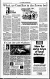 Sunday Independent (Dublin) Sunday 11 June 1995 Page 31