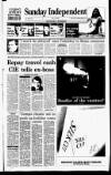 Sunday Independent (Dublin) Sunday 16 July 1995 Page 1