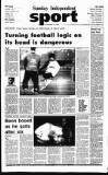 Sunday Independent (Dublin) Sunday 10 November 1996 Page 45