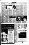 Sunday Independent (Dublin) Sunday 12 July 1998 Page 31