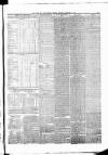 Poole & Dorset Herald Thursday 08 February 1877 Page 3