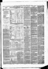 Poole & Dorset Herald Thursday 08 March 1877 Page 3