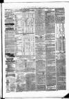 Poole & Dorset Herald Thursday 29 March 1877 Page 3