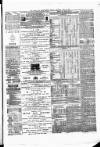 Poole & Dorset Herald Thursday 24 May 1877 Page 3