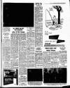 Drogheda Argus and Leinster Journal Saturday 01 January 1966 Page 3