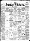 Sunday World (Dublin) Sunday 21 April 1895 Page 1