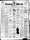 Sunday World (Dublin) Sunday 17 November 1895 Page 1