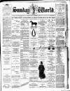 Sunday World (Dublin) Sunday 01 December 1895 Page 1