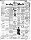 Sunday World (Dublin) Sunday 22 December 1895 Page 1