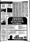 Drogheda Argus and Leinster Journal Friday 05 June 1981 Page 11