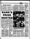 Drogheda Argus and Leinster Journal Friday 01 April 1988 Page 31