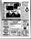 Drogheda Argus and Leinster Journal Friday 16 November 1990 Page 29