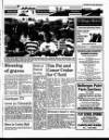 Drogheda Argus and Leinster Journal Friday 26 June 1992 Page 31