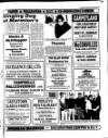 Drogheda Argus and Leinster Journal Friday 05 March 1993 Page 29